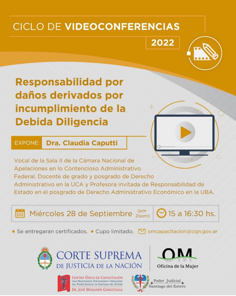 Ciclo de Videoconferencias 2022. Responsabilidad por daños dervidados por incumplimiento de la Debida Diligencia